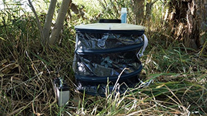 Mosquito Surveillance