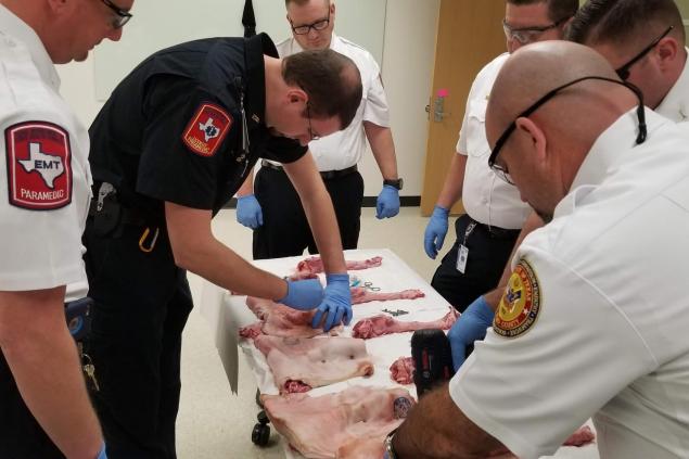 Surgical Airway Training