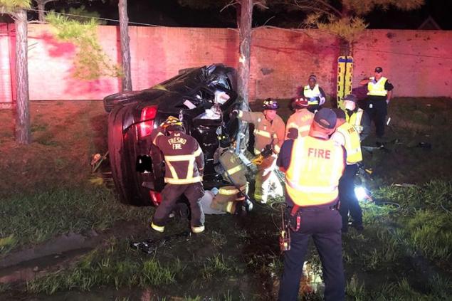 Auto rolls hits tree